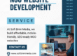 NGO Website Development