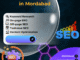 SEO Services in Moradabad